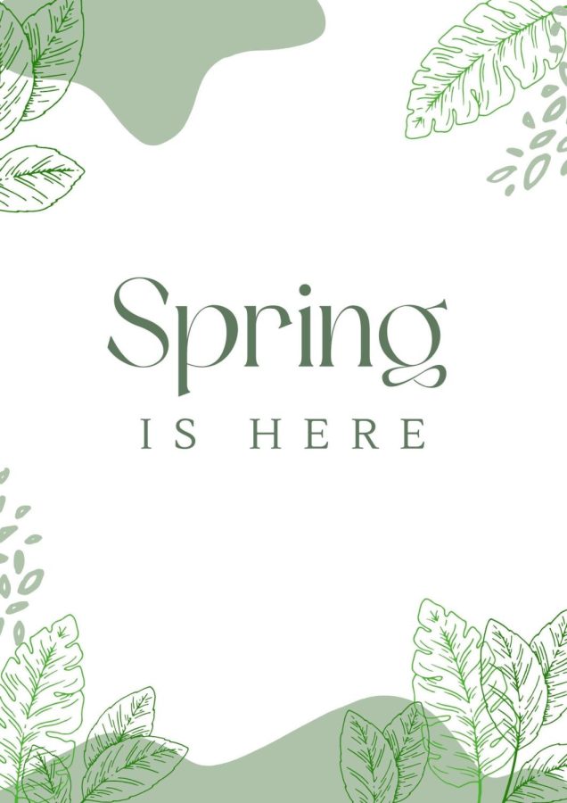 Spring has arrived; here are a few things you can do