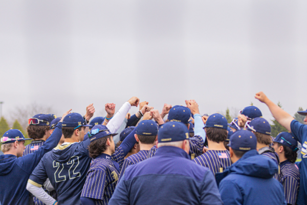 Lemont will take on Hinsdale Central in group play in the Steven M. Bajenski Memorial Baseball Tournament.
