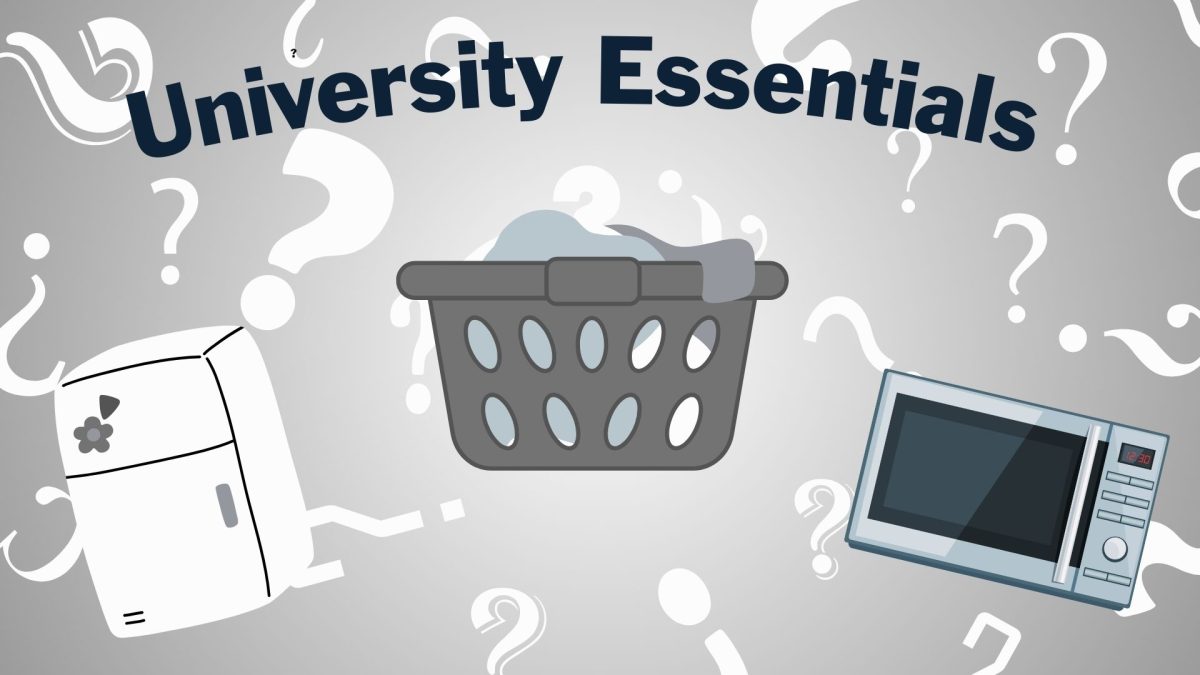 Dorm essentials for new university students