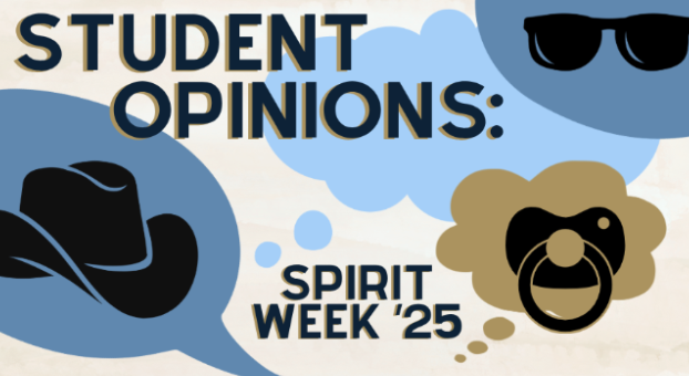 LHS Students share their thoughts about preparation and school engagement during spirit week.
