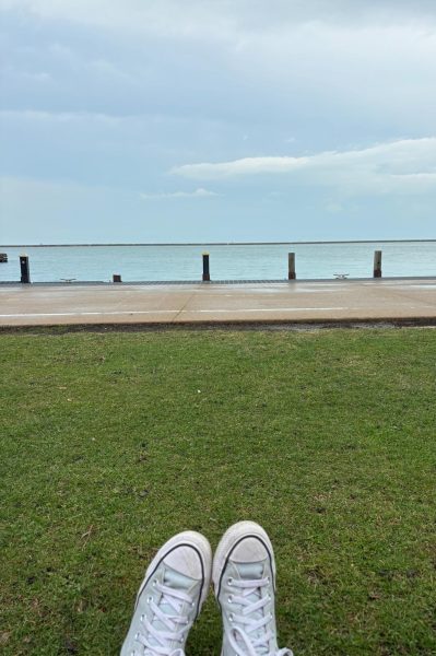 Blue converse on the bright green grass near the downtown Chicago Lakeshore path, with a stunning view of Lake Michigan.