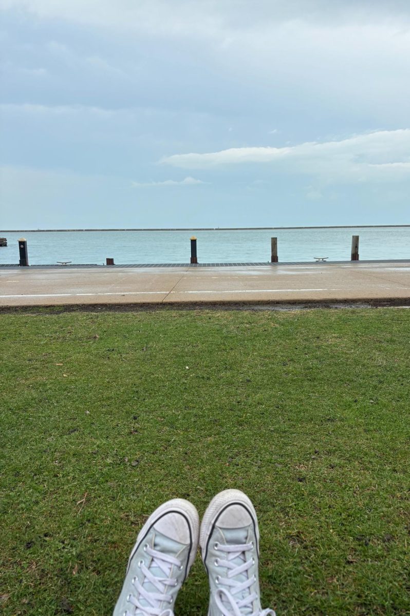 Blue converse on the bright green grass near the downtown Chicago Lakeshore path, with a stunning view of Lake Michigan. 